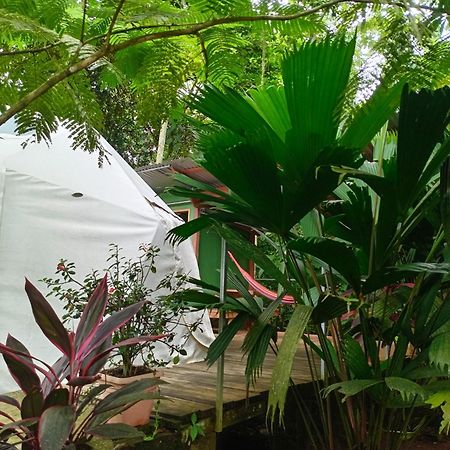 Apartamento Glamping Naioth Guápiles Exterior foto
