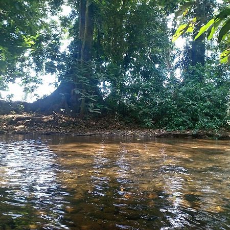 Apartamento Glamping Naioth Guápiles Exterior foto