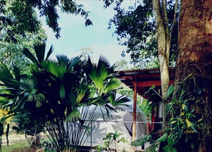 Apartamento Glamping Naioth Guápiles Exterior foto