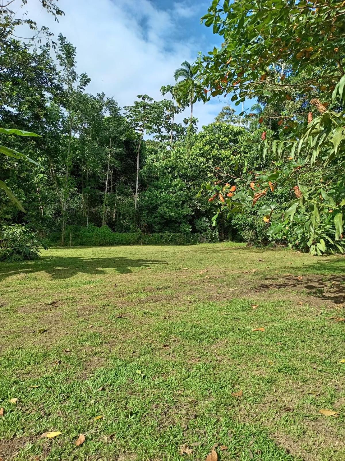 Apartamento Glamping Naioth Guápiles Exterior foto